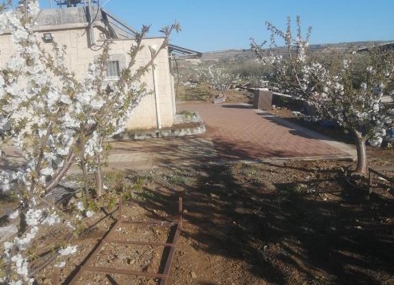 הבית בשדה הדובדבן cherry house