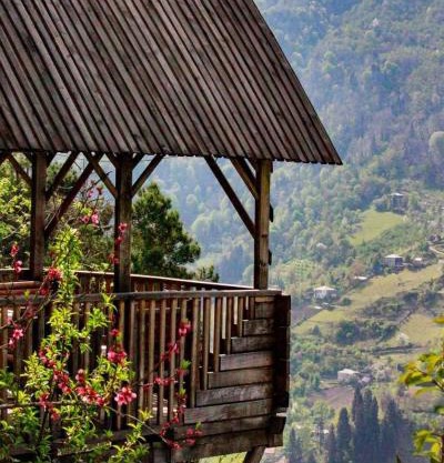 Hill Guesthouse - Wine Cellar, Fish Farm & Organic Cuisine