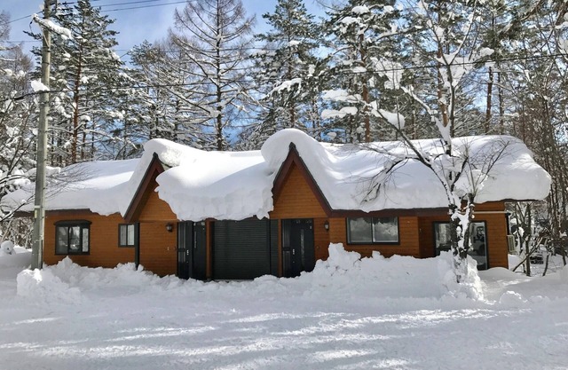 Hinoki Cabin Hakuba 2 2LDK 4person rental villa/Kitaazumi-gun Nagano