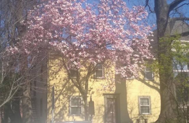 Historic Clayton-Bullock Schoolhouse Near Downtown Cincinnati!