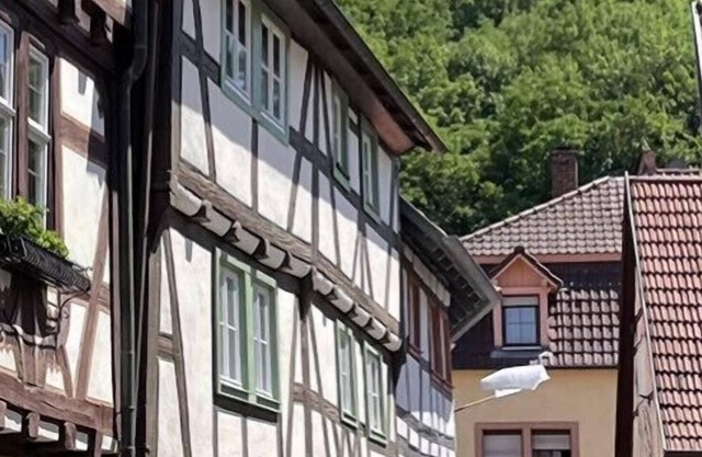 Historical half-timbered house/accommodation in the center of Weinheim Marktplatz