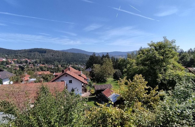 Holiday apartment Zwiesel for 1 - 2 persons with 1 bedroom - Holiday apartment in one or multi-famil