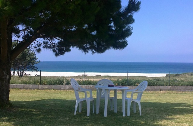 Holiday apartments near the beach