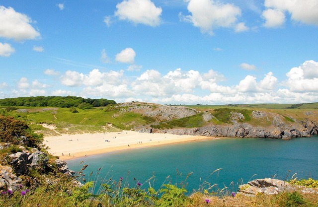 Holiday cottage in grounds of Upton Castle Pembrokeshire - eco and dog friendly.