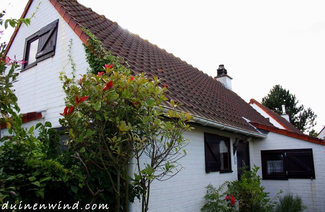 Holiday Duinenwind - holiday in Belgium