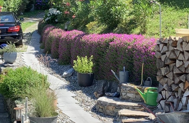 Holiday house Bellinzona for 1 - 4 persons with 1 bedroom - Detached holiday house