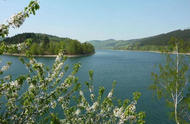 Holiday house Diemelsee for 1 - 4 persons with 3 bedrooms - Holiday home