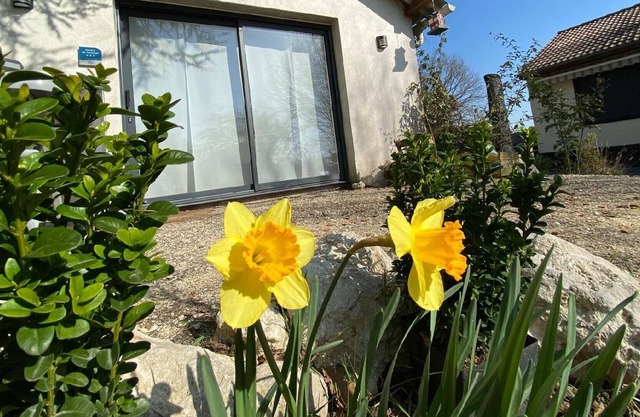 Holiday house Mesland for 1 - 4 persons with 1 bedroom - Holiday house