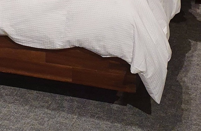 Holiday Lodge in Centre of Dublin