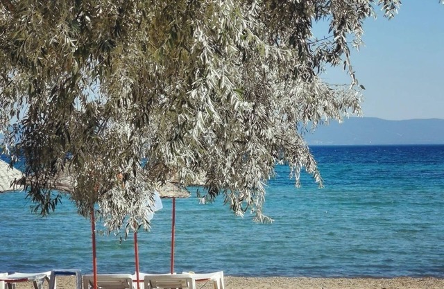 Holifera Hotel