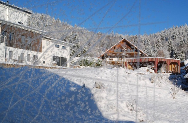 Hölzle on the Dachsberg - holiday apartment