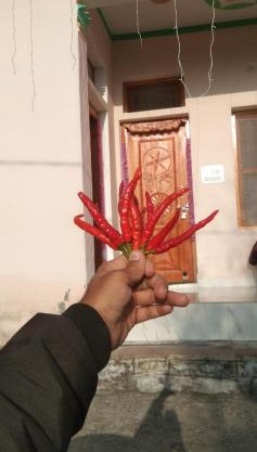 Home stay nagtibba road