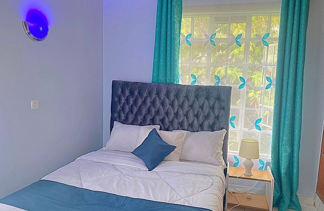 Homely apartment 2