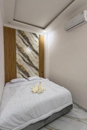Homely Guest House