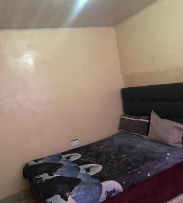 Homely Stay
