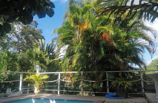 Homerez - Apartment Rivière-Pilote