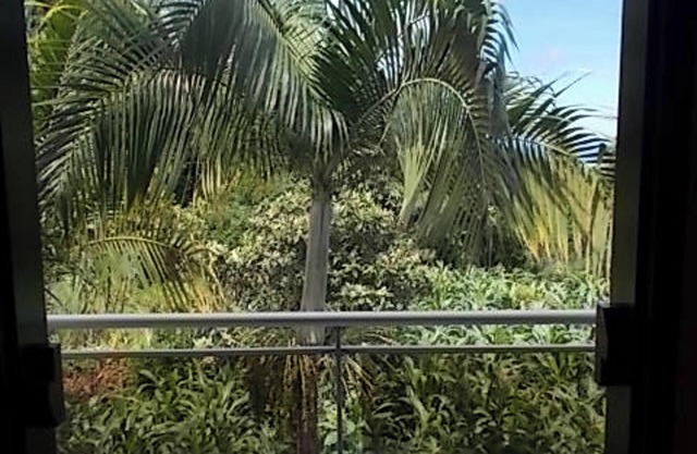 Homerez - Apartment Sea View, Saint-Paul - 70m²