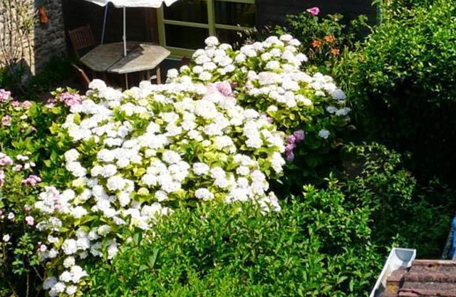 Homerez - Beautiful house for 4 ppl. with terrace at Villabé