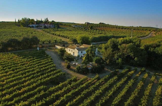 Homerez - Elegant Villa in Montilla with Private Pool
