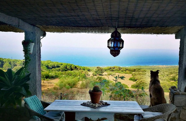 Homerez - House 2 km away from the beach for 2 ppl. with garden at El Chaparral