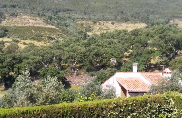 Homerez - Studio in Valencia de Alcántara