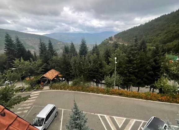 Hotel alpin