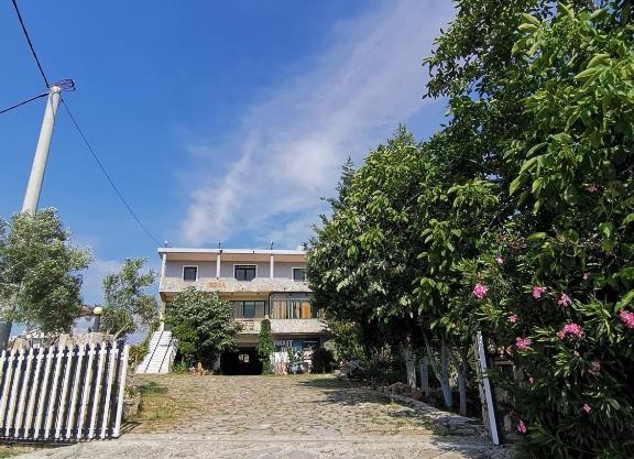 Hotel Bora