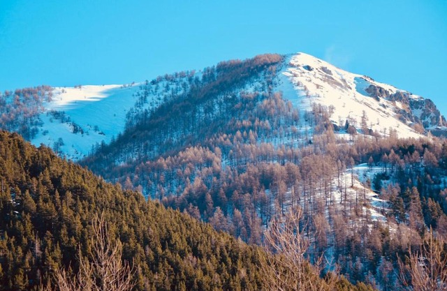 Hotel Chamois d'Or