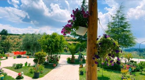 Hotel Mille Una Notte Ardenice