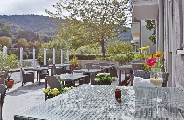 Hotel Neckarlux