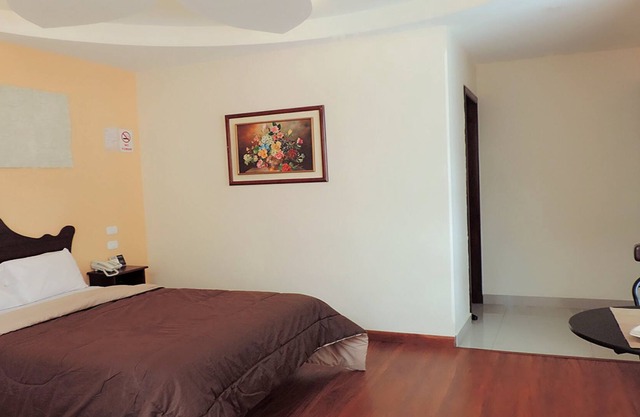 Hotel Zafiro Internacional