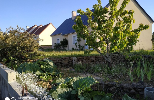 House 4 bedrooms + Terrace
