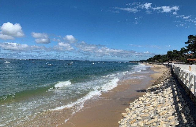 House among the pines, 7 minutes from the beach on foot