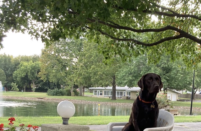 House, no steps, on a lake