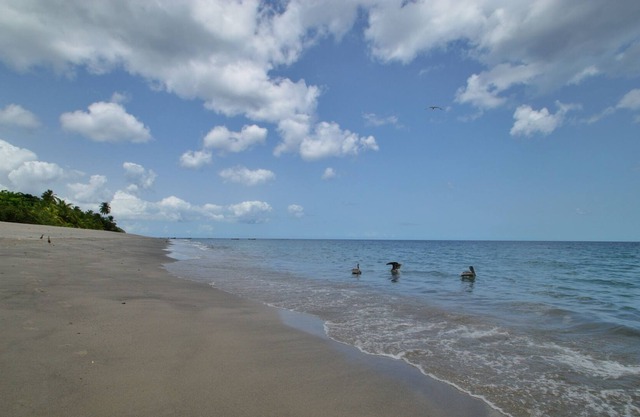 House on the beach of Carbet