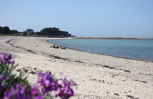 House sea view, spa (jacuzzi), beach access at the end of the garden!