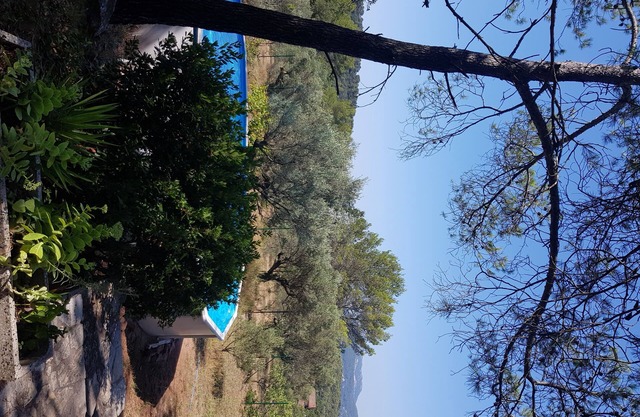 House with Pool and Jacuzzi. 130m2 on 3300m2 of land. 4 large bedrooms