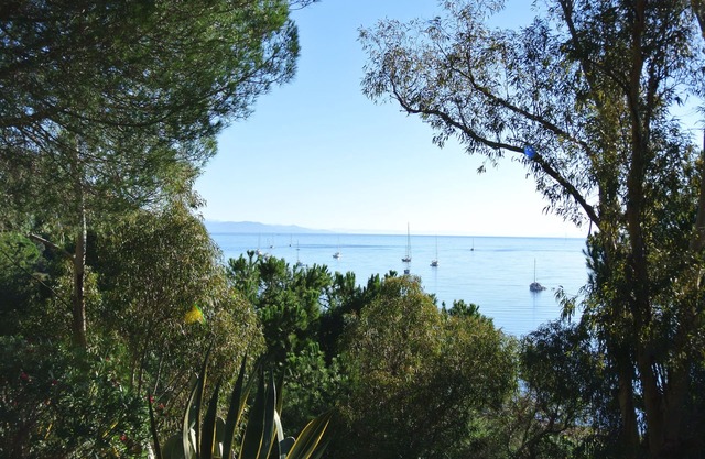 House with sea view sorrounded by a beautiful garden