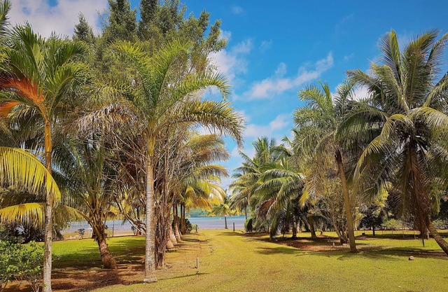 HUAHINE - Tipanier House