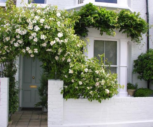 Hurlingham Bed and Breakfast
