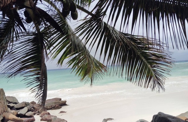 Ideal little semi-detached bungalow on Praslin island located on the coast.