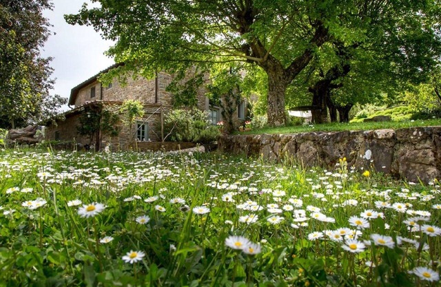 Il Bracconiere, luxury in Chianti - Wifi, swimming pool, parking