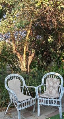 Il Giardino