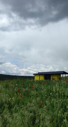 ILLU Resort
