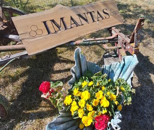 Imantass