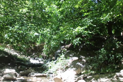 imintanoute