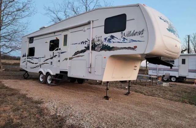 Immaculate Country Wildcat