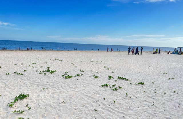 Impeccable 3-Bed Apartment in Mombasa