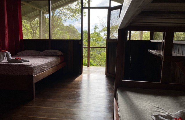 in the heart of the forest, Near Corcovado National Park.