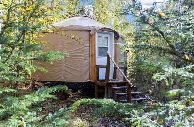 Into the Woods- a luxury yurt glamping experience